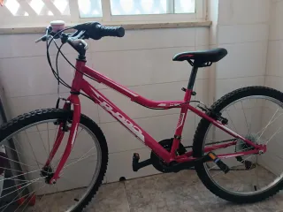 Bicicleta rosa 24