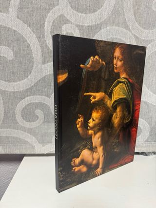 Libro colección Leonardo Da Vinci 500