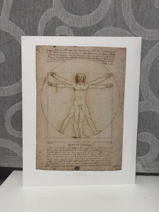 Libro colección Leonardo Da Vinci 500