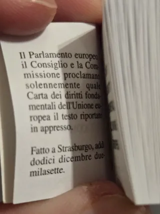 Minilibro Diritti Fondamentali dell'UE anno 2008