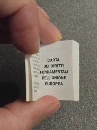 Minilibro Diritti Fondamentali dell'UE anno 2008