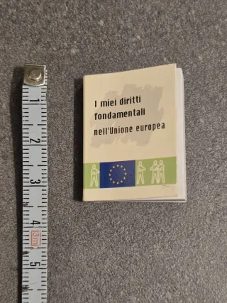 Minilibro Diritti Fondamentali dell'UE anno 2008