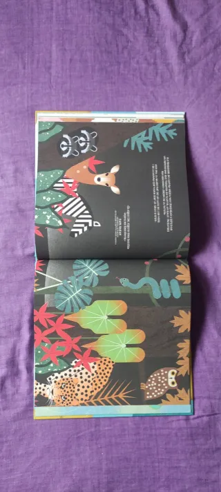 Les matemàtiques de l'univers