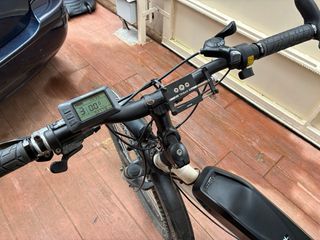 Bicicleta Tándem Eléctrica