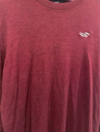 Jersey Hollister Burdeos Caballero