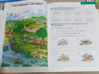 El libro de la primavera. 1° de primaria