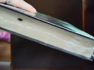 Los Hijos Secretos Del Grial