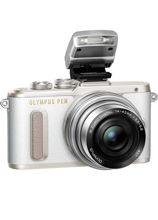 Cámara Olympus E-PL8 Profesional