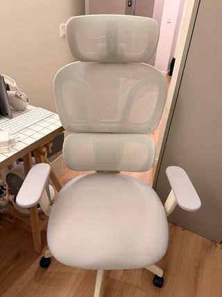 Silla Ergonómica Flexispot Blanca