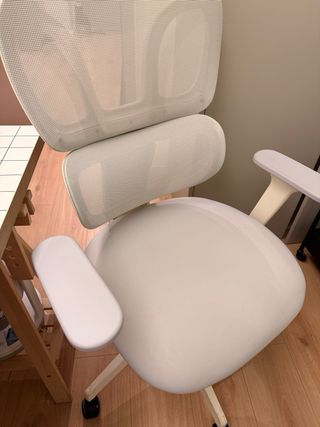 Silla Ergonómica Flexispot Blanca