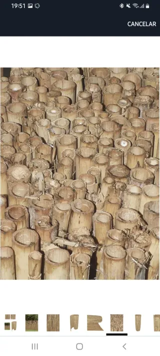 Cañizo de jardín de bambú