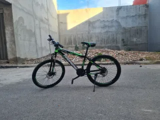 Bicicleta de Montaña