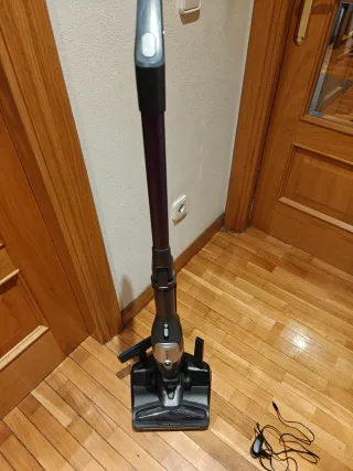 Aspiradora Rowenta X-Trem Compact
