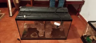 Terrario/Acuario de Cristal