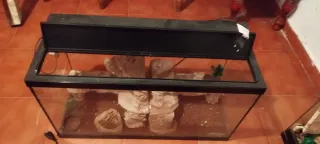 Terrario/Acuario de Cristal