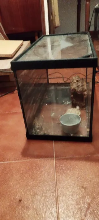 Terrario/Acuario de Cristal