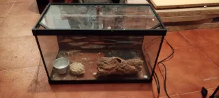 Terrario/Acuario de Cristal