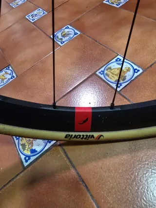 Van Rysel Endurance Allroad NCR CF Edición limitad