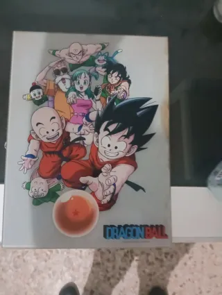 Cuadro Dragon Ball Goku