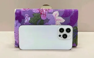 Bolso de mano Clutch Morado y Dorado