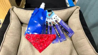 Cama para perro o gato + regalo con la compra