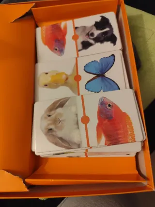 Domino Fotos Animales Educativa Diset 28 Piezas