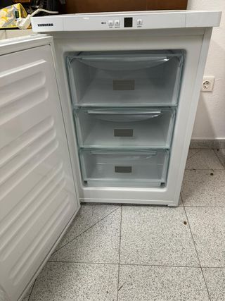 Congelador Liebherr G 1223