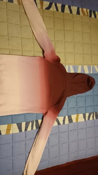 Sudadera Hollister con capucha color Rosa/Granate