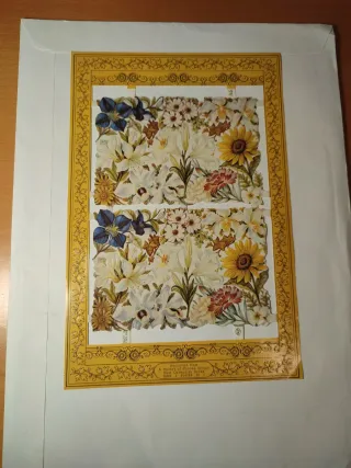 Lámina reproducción cromos antiguos flores