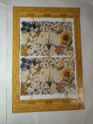 Lámina reproducción cromos antiguos flores