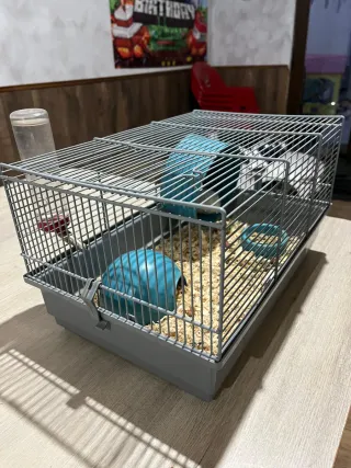 Jaulas para hámster