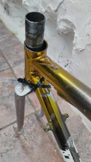 Cuadro Bicicleta Razesa Cromovelato