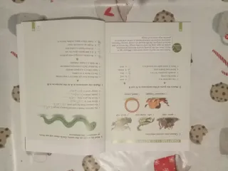 ALL ABOUT BRITAIN ESO1