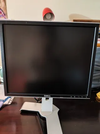 Monitor Dell
