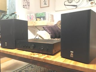 Altavoces Vieta PR300 + Amplificador Proton AM-20