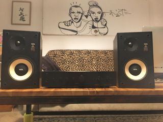 Altavoces Vieta PR300 + Amplificador Proton AM-20