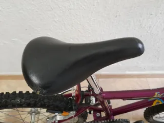 Bicicleta montaña niña Amat Tot Terreny