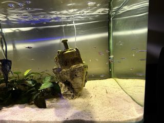 Acuario 200L con mesa forjada y ruedas