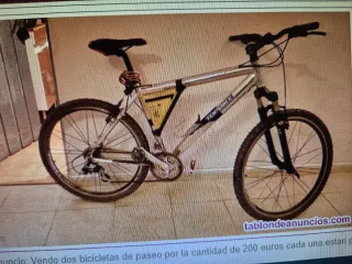 Bicicleta TOPBIKE plateada