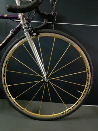 Colnago Master Piu