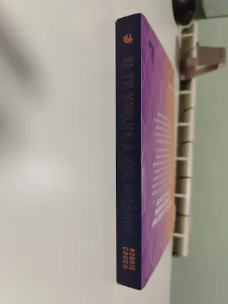 Si te vuelvo a ver mañana