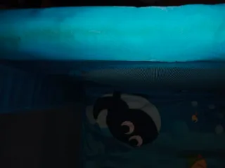 Parque infantil Chicco