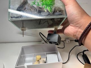 Acuario de mesa transparente