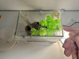 Acuario de mesa transparente