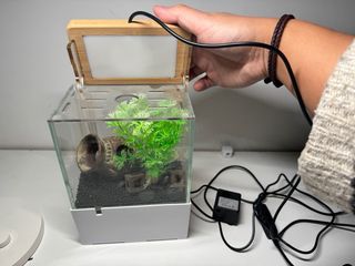 Acuario de mesa transparente