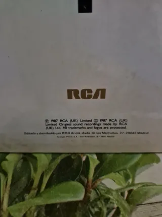 Vinilo Eurythmics Savage