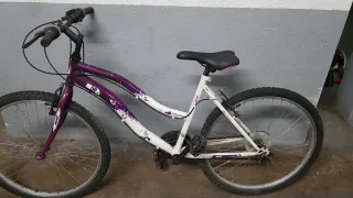 Bicicleta Montaña