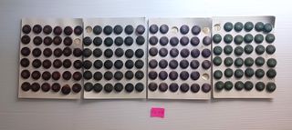 270 Botones Originales 1.7 cm. Leer