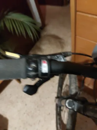 Bicicleta de competición