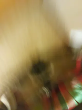 Bicicleta de competición